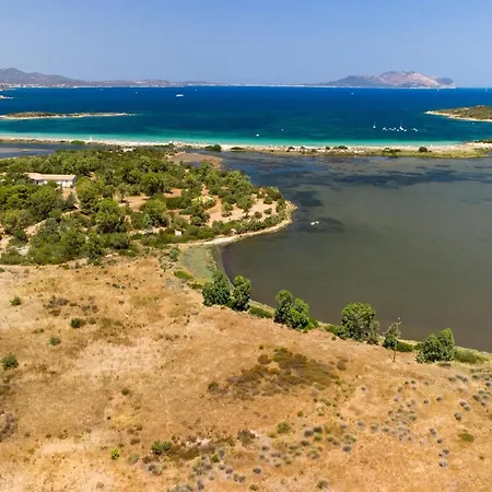 Myrsine Viola - Klodge Apartman